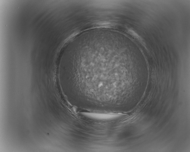 X0000072521411200607290146