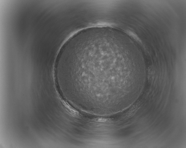 X0000072521412200607290146