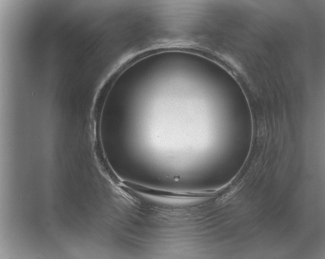 X0000072521414200607290146