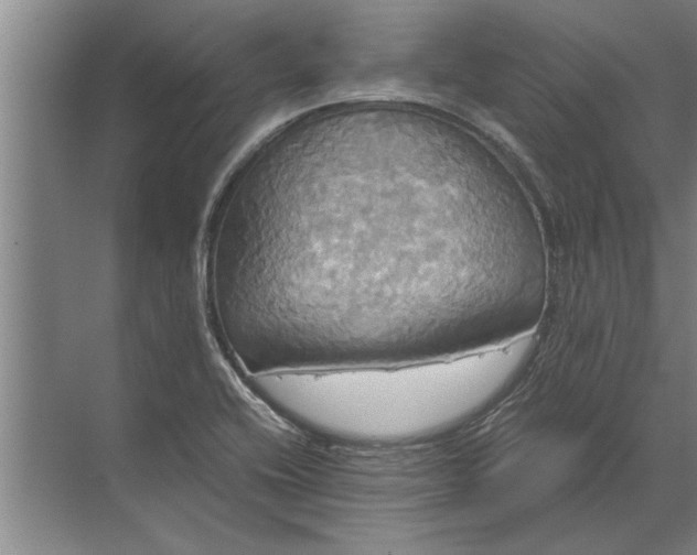 X0000072521416200607290146