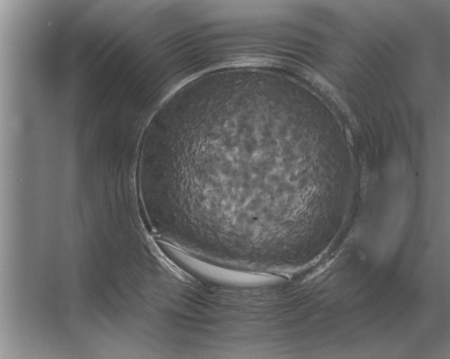 X0000072521417200607290146