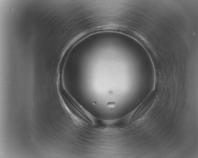 X0000072521418200607290146