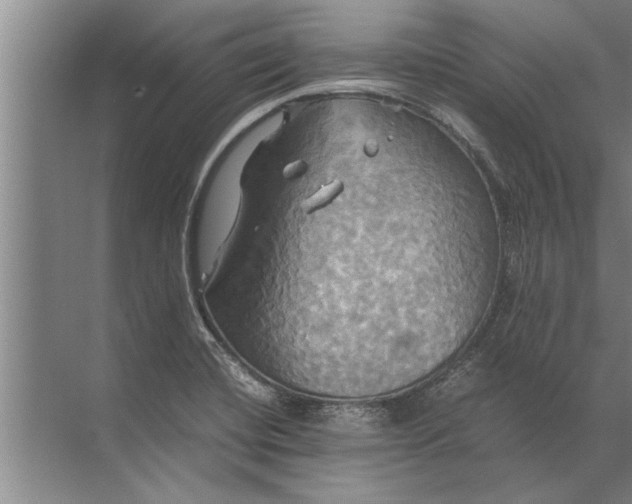 X0000072521420200607290146