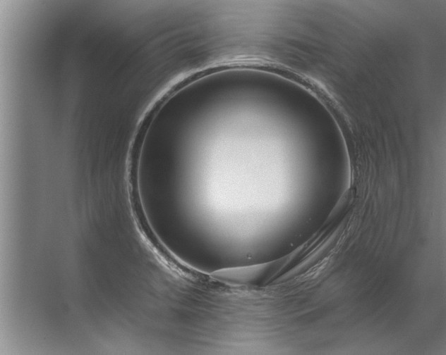 X0000072521422200607290146