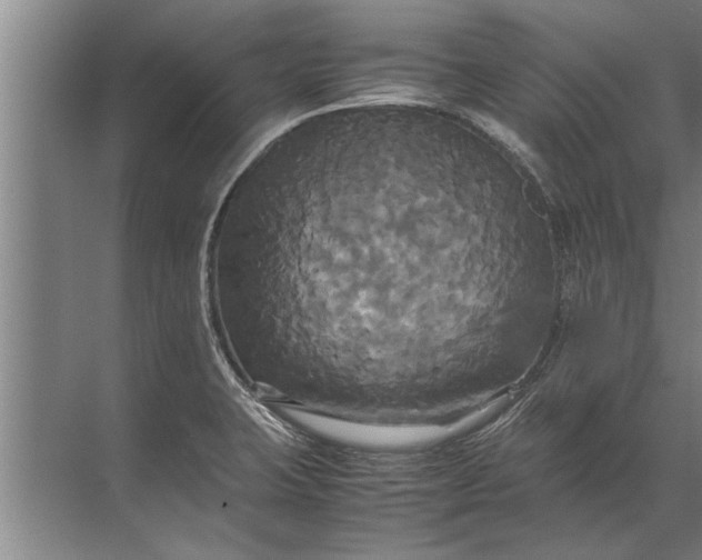 X0000072521423200607290146