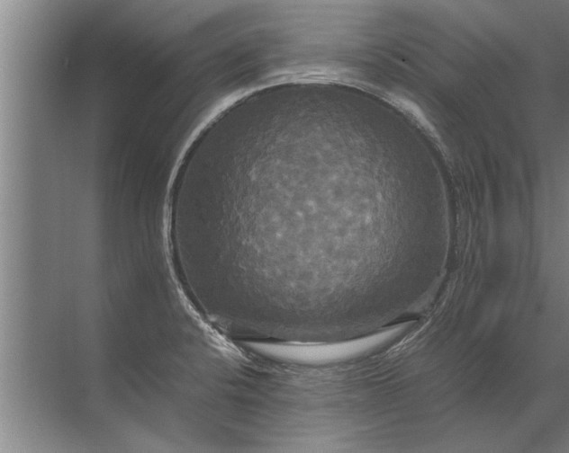 X0000072521424200607290146