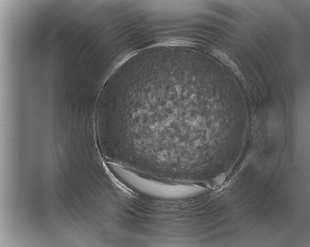 X0000072521425200607290147