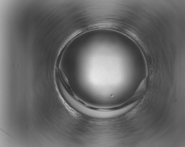 X0000072521426200607290147