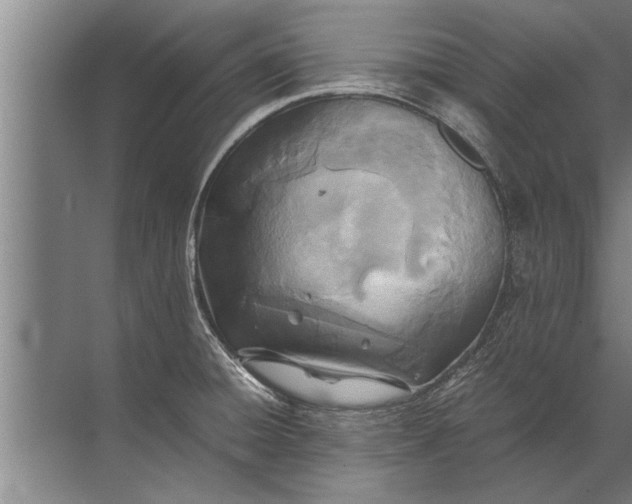 X0000072521428200607290147