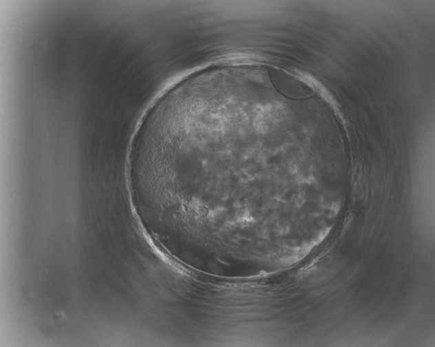 X0000072521429200607290147