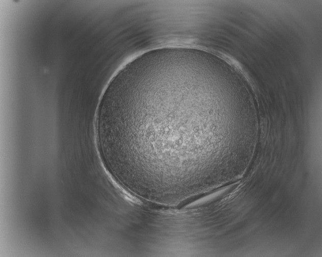 X0000072521432200607290147