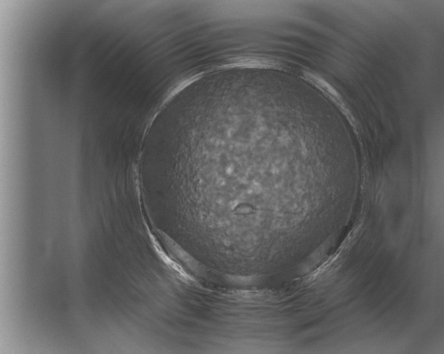 X0000072521433200607290147