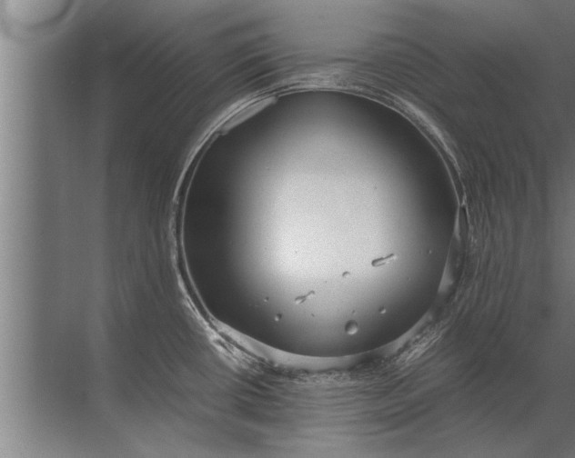 X0000072521434200607290147