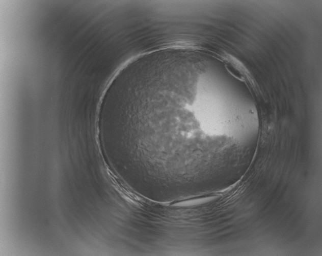 X0000072521435200607290147