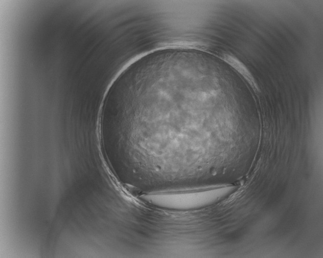 X0000072521436200607290147