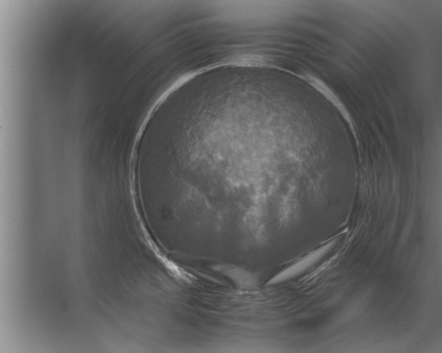 X0000072521437200607290147