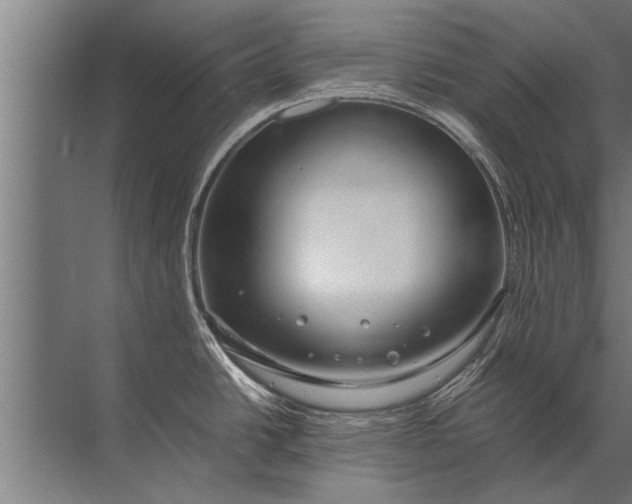 X0000072521438200607290147