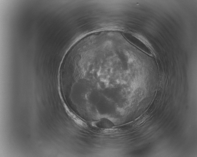 X0000072521439200607290147