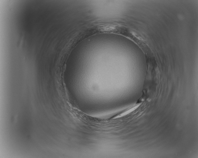 X0000072521441200607290146