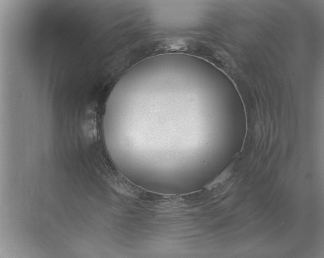 X0000072521442200607290146