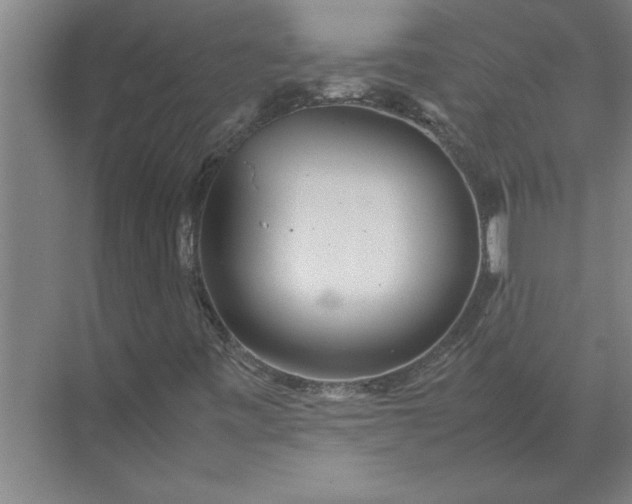 X0000072521443200607290146