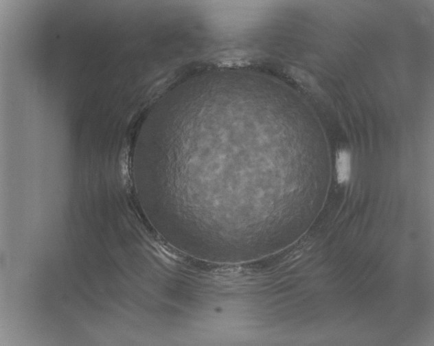 X0000072521444200607290146