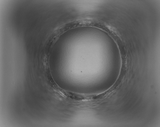 X0000072521445200607290146