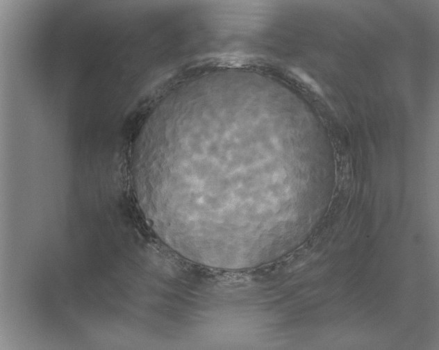 X0000072521446200607290146