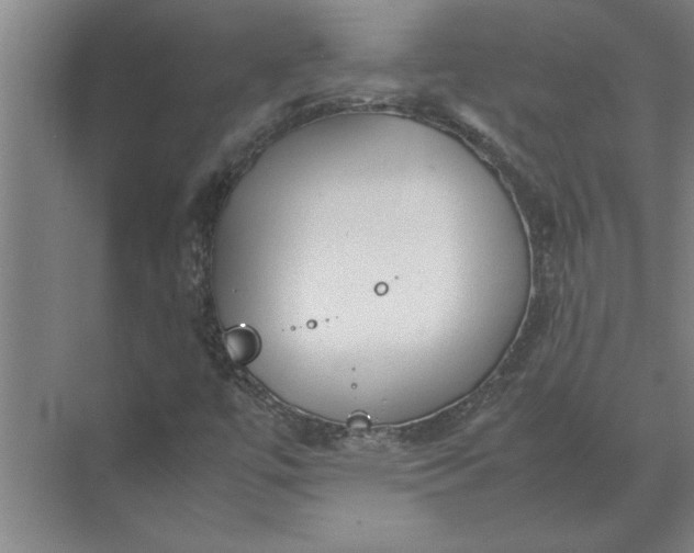 X0000072521447200607290146