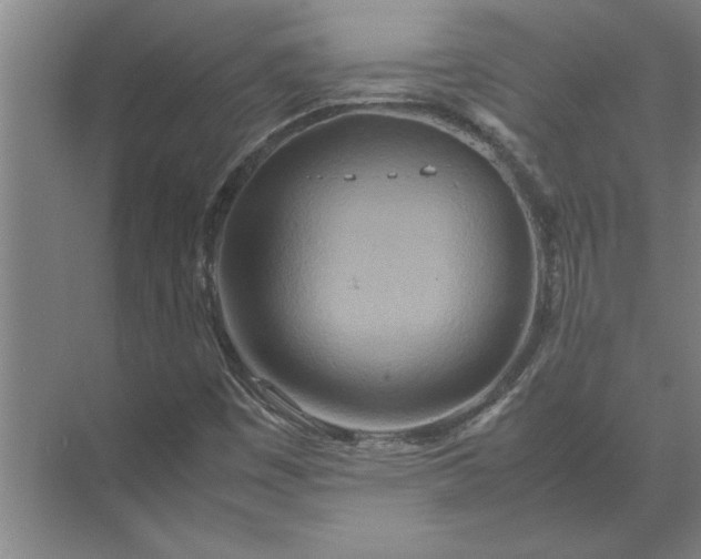 X0000072521449200607290146