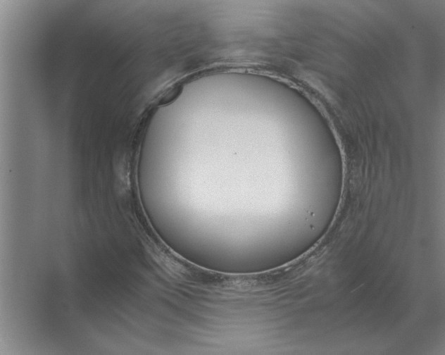 X0000072521451200607290146