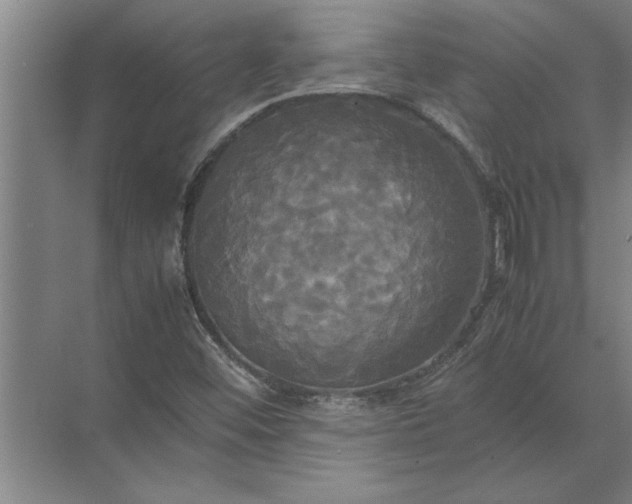 X0000072521452200607290146