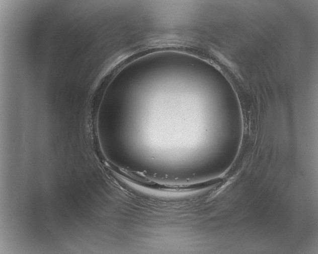 X0000072521453200607290146