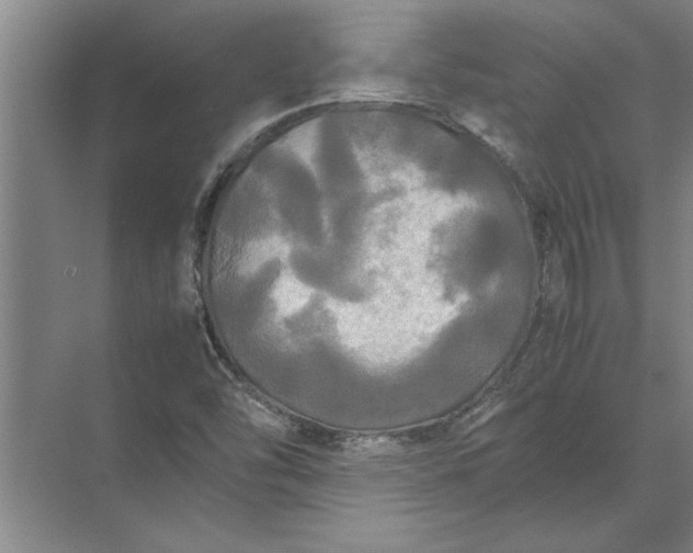 X0000072521454200607290146