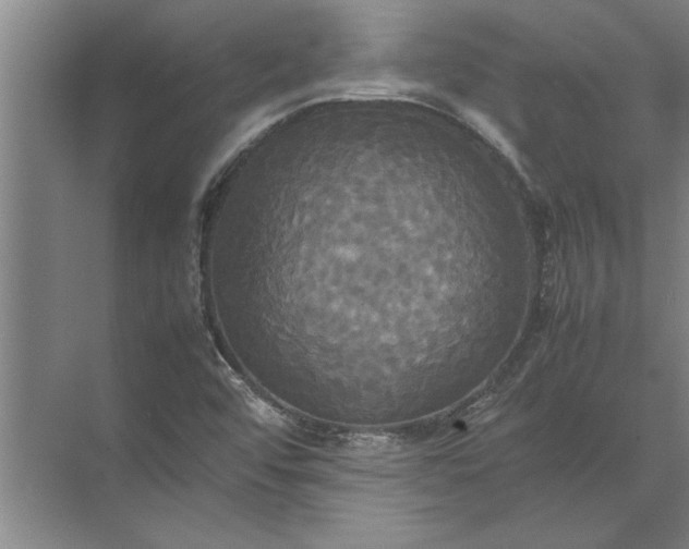 X0000072521456200607290146