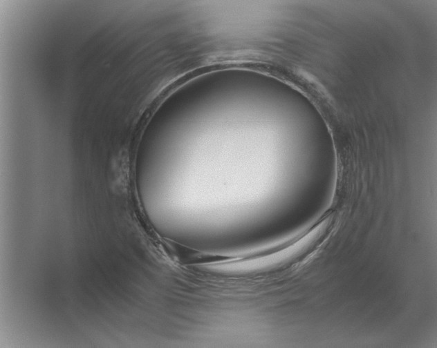 X0000072521457200607290146