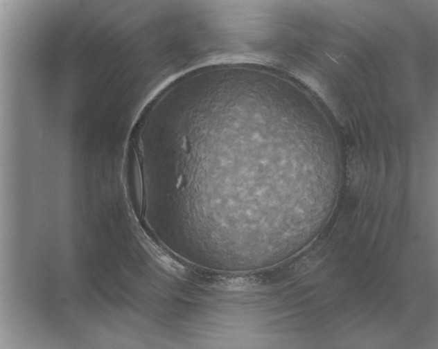 X0000072521460200607290146