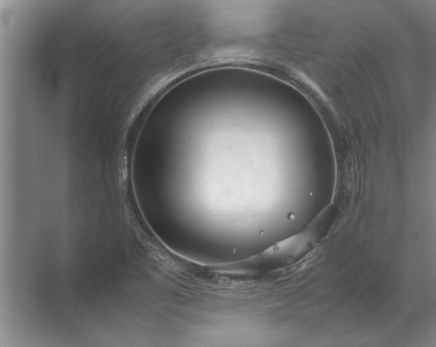 X0000072521461200607290146