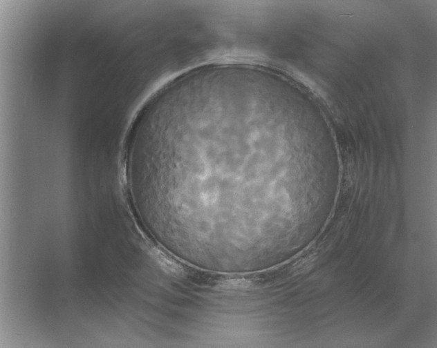 X0000072521462200607290146