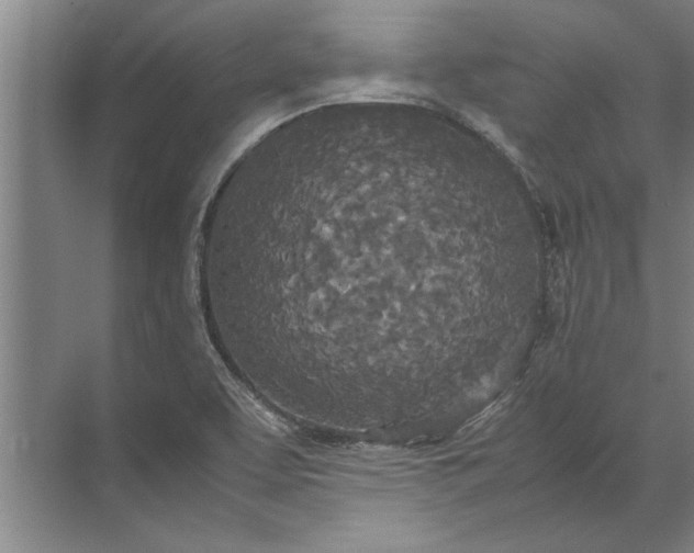 X0000072521463200607290146