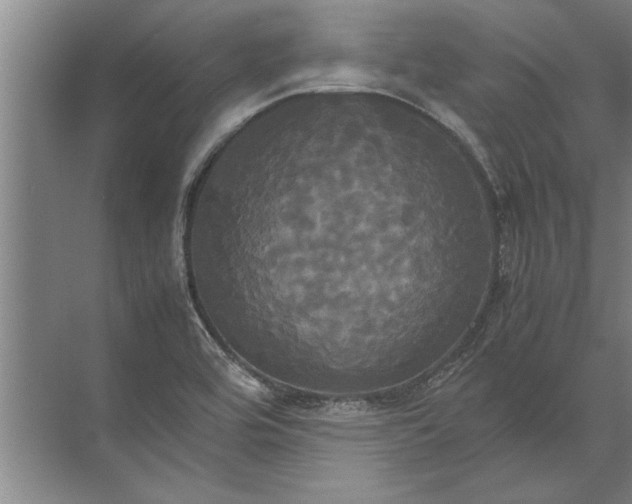 X0000072521464200607290146