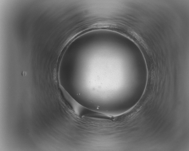 X0000072521465200607290146