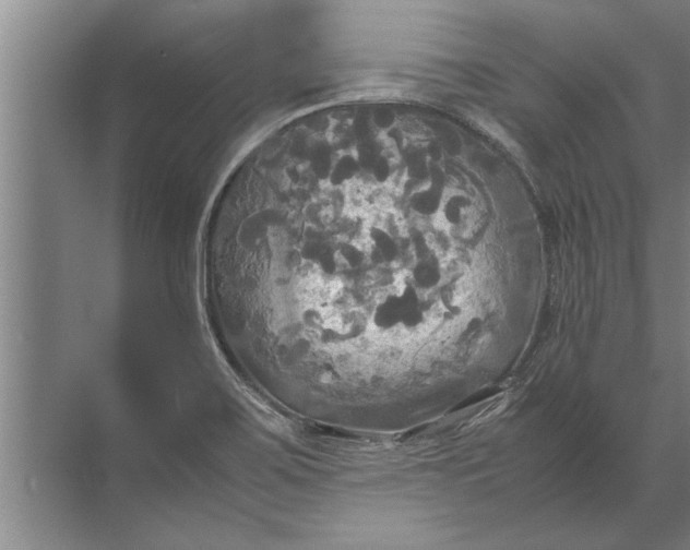 X0000072521467200607290146