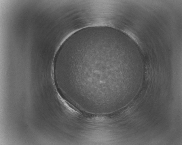 X0000072521468200607290145