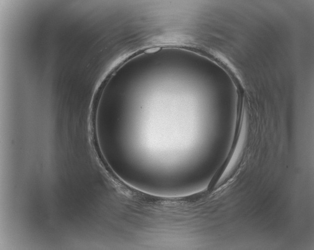 X0000072521469200607290145