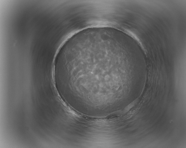 X0000072521472200607290145