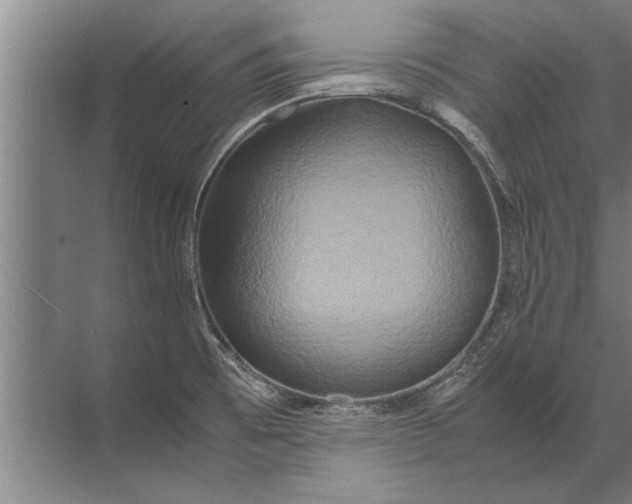 X0000072521473200607290145