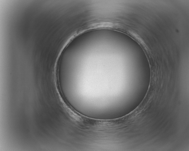 X0000072521475200607290145