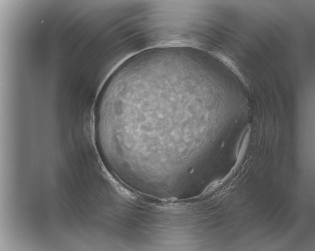 X0000072521476200607290145