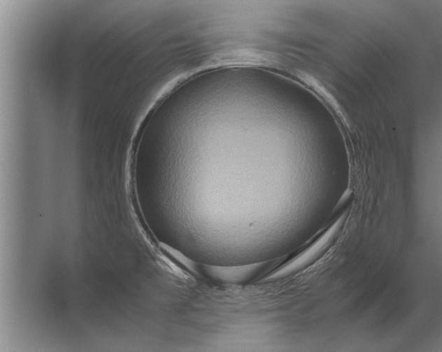 X0000072521477200607290145